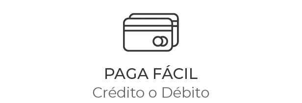 Paga fácil