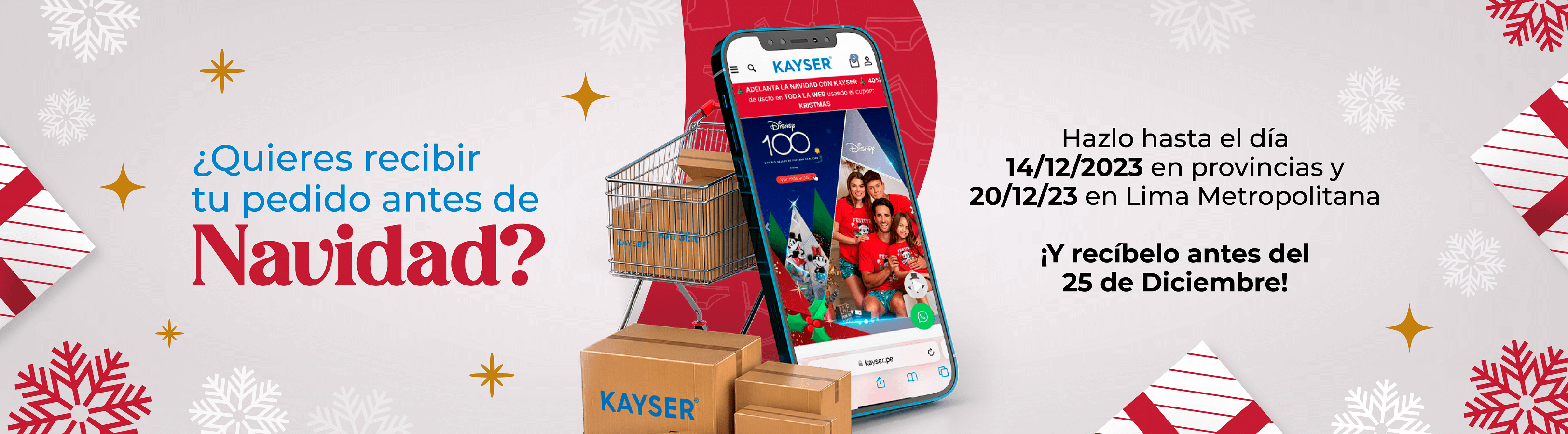 KAYSER MODALIDAD DE ENVIO