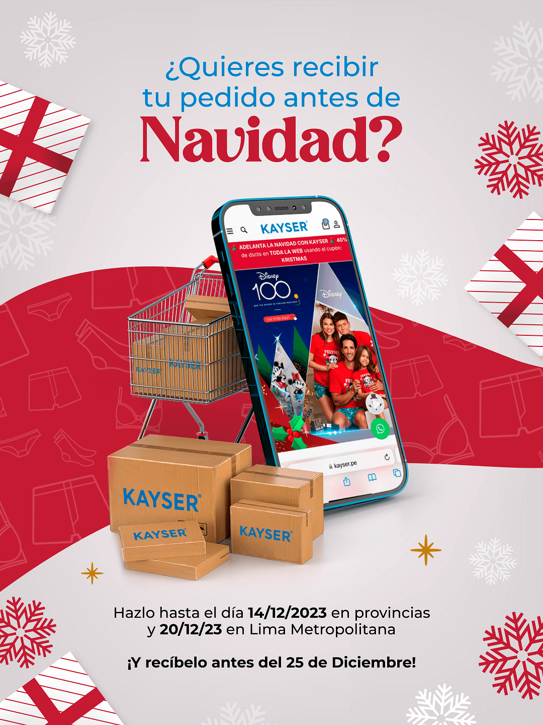 KAYSER MODALIDAD DE ENVIO